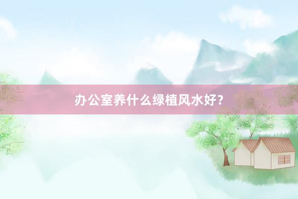 办公室养什么绿植风水好?